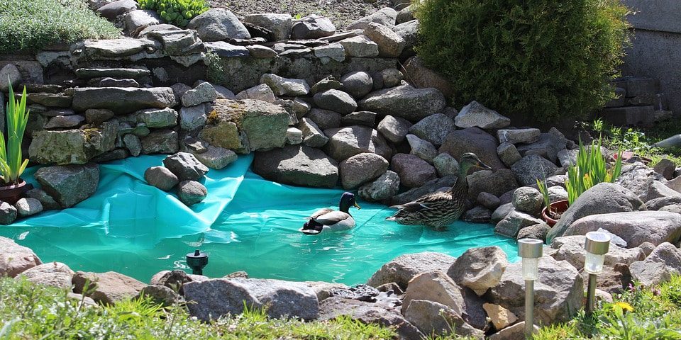 stones-around-pond_orig