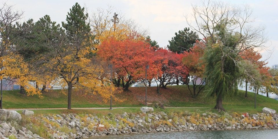 stones-surrounding-river-bank_orig